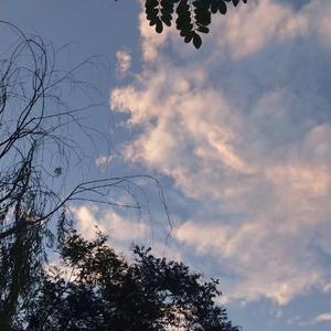 色五月婷婷青草高潮内射
